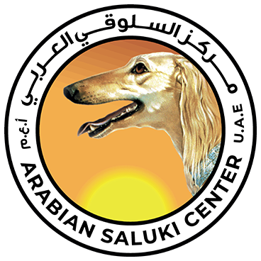 Arabian Saluki Center