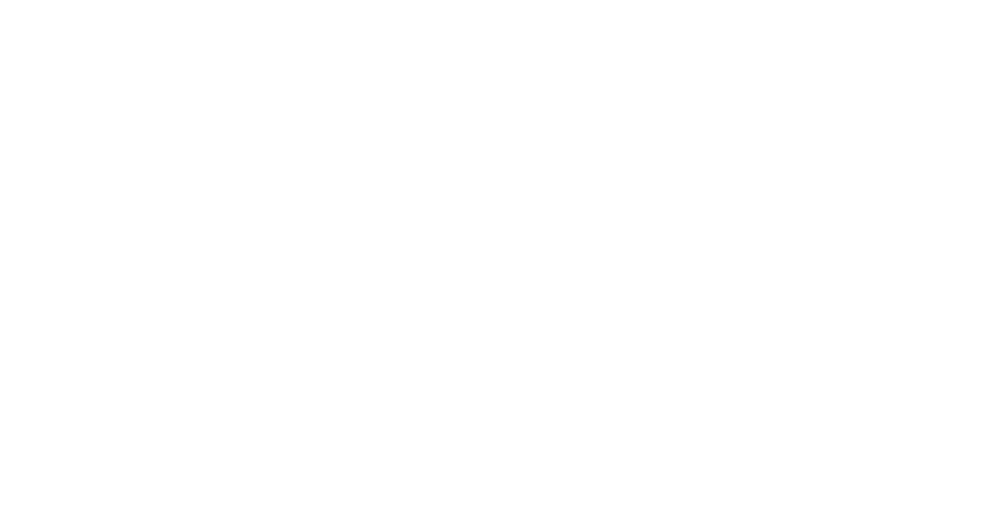 Emirates Falconers Club
